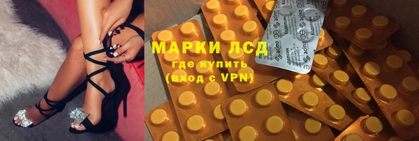 спайс Богданович