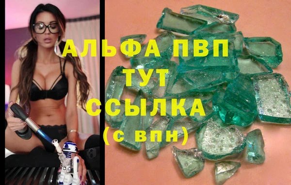 спайс Богданович