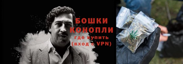 спайс Богданович
