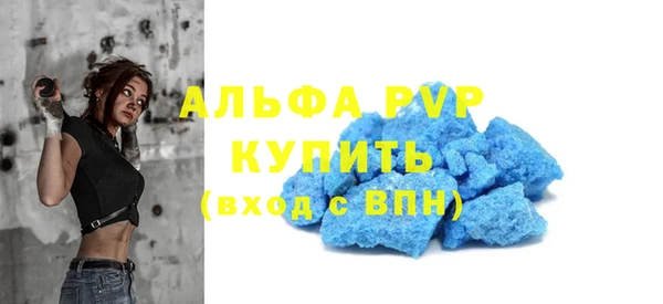 спайс Богданович