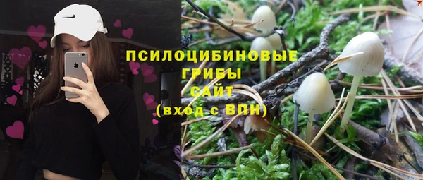прущая мука Богородицк