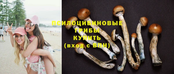 гидра Сосновый Бор