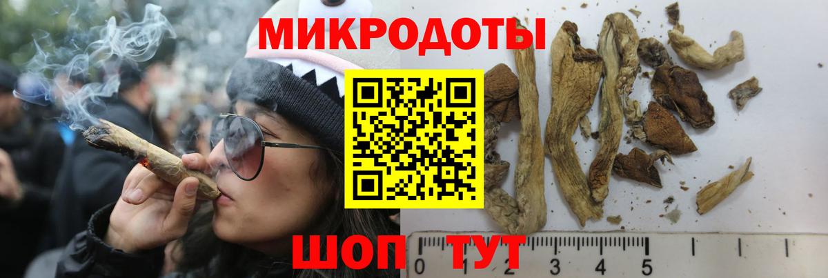 Галлюциногенные грибы GOLDEN TEACHER  Вход с VPN  Вязьма 